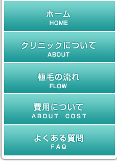 サイドナビ