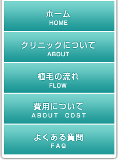サイドナビ
