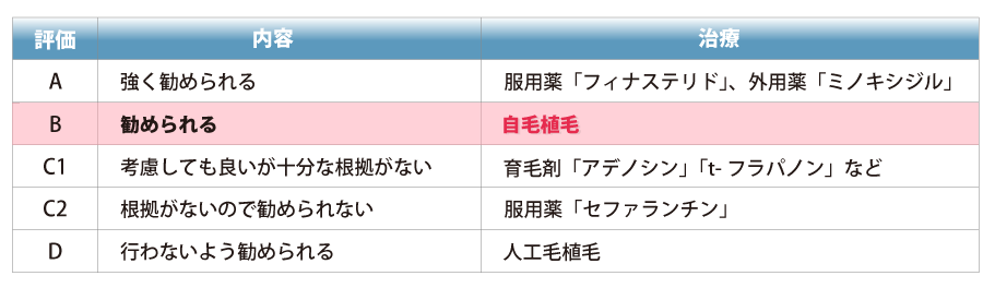 評価：B、内容：強く勧められる、治療：自毛植毛